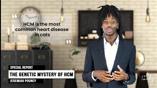 26 reactions · 3 comments | This week on Vet Candy Watch, host...