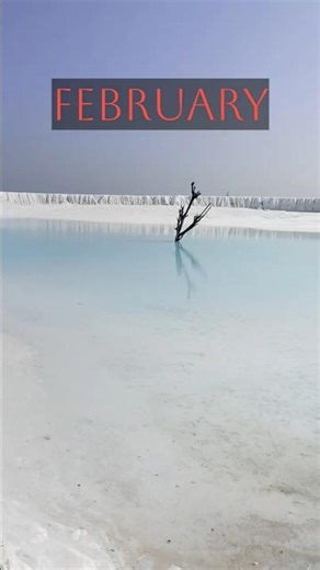 This weekend vlogs | please support my channel @mitstarvlogs 🙏🤩#shortvideo