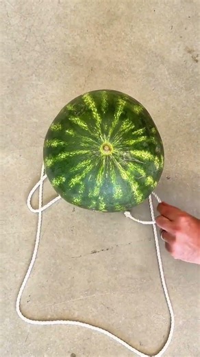 🍉