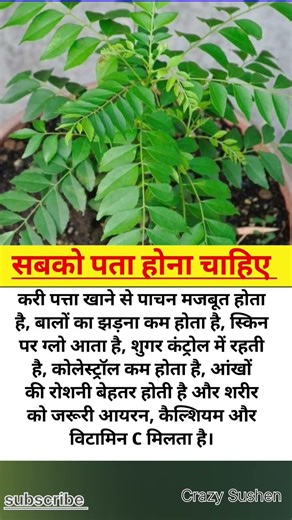 #motivation #jayakishorijibhajan #shortsfeed #quotes