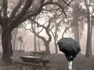 Zezé di Camargo & Luciano - Foi