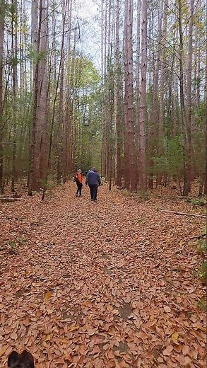 the Nature Trail at Mohawk Trail State Forest