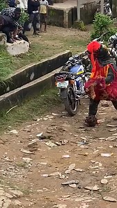 Wetin dey sup here | Elizabetholu