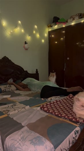 Iismail on Instagram: "My last video😭 #reels #reelifeelit #wedding #viral"