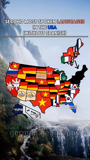 Exploring Language Diversity in the United States