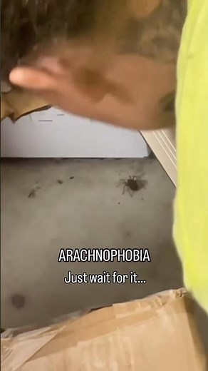 Ever seen an Explosion of Spiders?