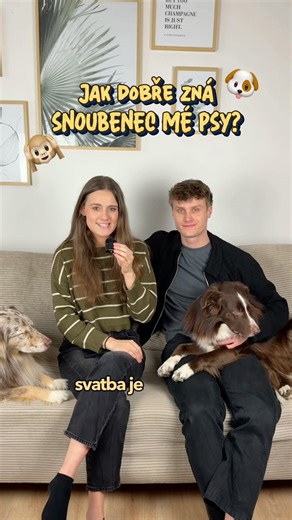 Jak dobře zná snoubenec mé psy?❤️🐶