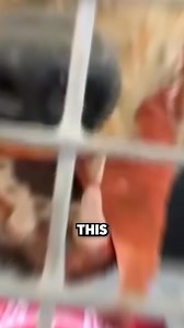 Will Test HOW BRAVE You Really Are😳😱 | Lucky Tales