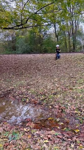 Strider Bikes on Reels