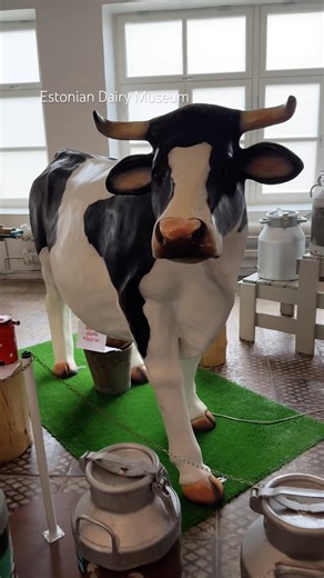 Got Milk?🥛The museum about milk is udderly intresting!🐮#estonia #eesti #visitestonia