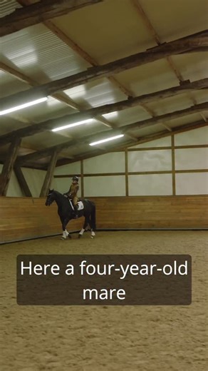 Introducing lateral work to a young horse? This simple nose-to-wall leg yield exercise is a game changer, especially for green horses who still tend to fall over the outside shoulder when working from the center line. 👉 Steer softly towards the wall 👉 Catch the horse gently with your hand 👉 Use your outside leg to ask for a few clear steps sideways The wall becomes your helper, keeping the horse straight while teaching them that the leg doesn’t just mean “go forward”, it can also mean “go sid