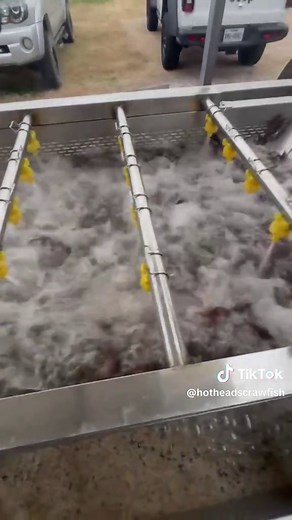 Ultimate Guide to Cleaning Crawfish in Louisiana