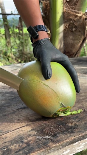 Mastering Coconut Cutting Skills for Ultimate Satisfaction