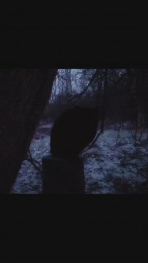 daydream // song: fragment - astral #nostalgia #core #astral | astralnotagain