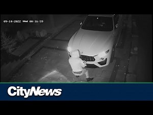 Police tackle unprecedented rise in auto thefts