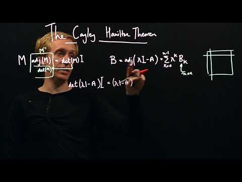 Proving the Cayley Hamilton Theorem