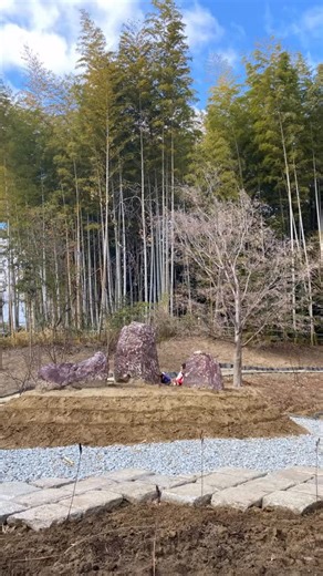 Tamiko Nobayashi on Instagram: "唐招提寺薬草園草取りご奉仕🌿 奈良にも降った前日の雪❄️は、消えていましたが、土が凍っているところもありました😨 岐阜から来てくださっている野崎先生をはじめ、沢山の方々が集った唐招提寺薬草園🌿 来月の植え込みの準備のため、それぞれ担当した場所で皆さん熱心に役割を担っておられました😊 厳しい寒さも外での作業が進むと身体が馴染み緩まってきました🥰 私の担当はイブキジャコウソウ🌿 来月は沢山のイブキジャコウソウの植え込みをします💓薬草園が沢山の薬草たちで賑わうこととても楽しみ😍 エンゴサクも芽吹いてました🌿👀😊 #唐招提寺 #薬草園 #イブキジャコウソウ #薬草 #植物のある暮らし"
