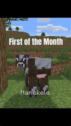 Es ist schon wieder März :/ #minecraft #animation #month