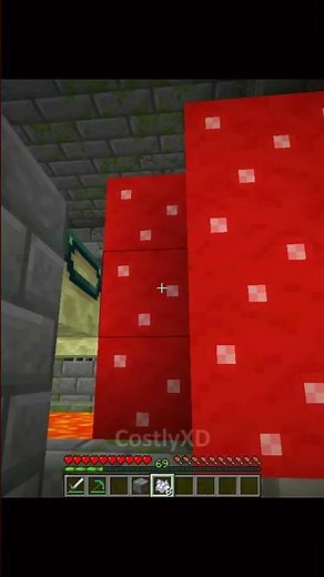 Minecraft: New Java Glitch 💀