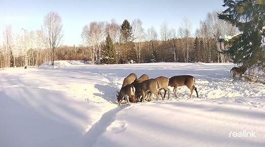 4mp poe camera system