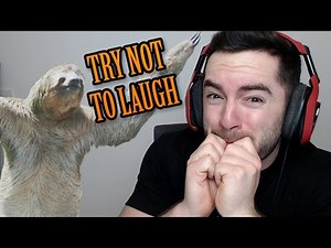 TRY NOT TO LAUGH - Animal Fails
