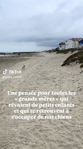 Célébrons la fête des grands-mères avec nos chiens !