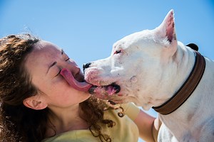 Smooches or stress? There are a few reasons your dog might lick you