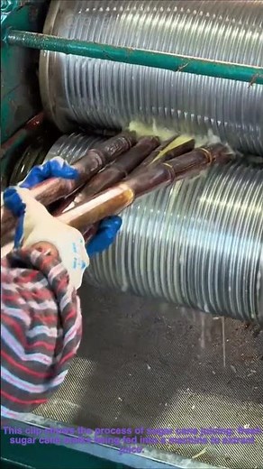 Sugar Cane Juicing: How a Machine Extracts Fresh Juice