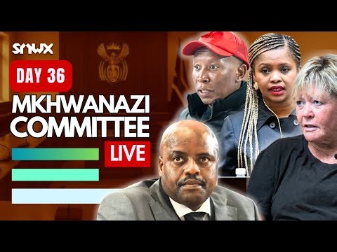 Julius Mkhwanazi testifies in Parliament