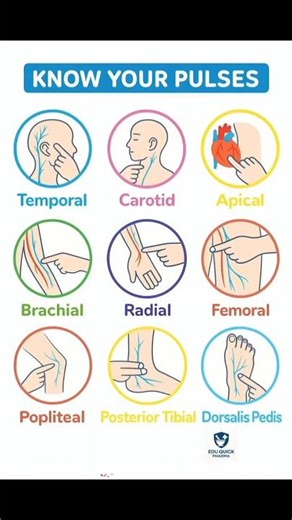"Pulse Rate कहाँ-कहाँ चेक करते हैं?Major Pulse Points Explained | Nursing & Pharma Students Must l "