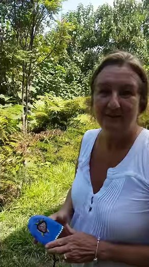 Aboriginal Bullroarer demonstration by maree Bradbury.