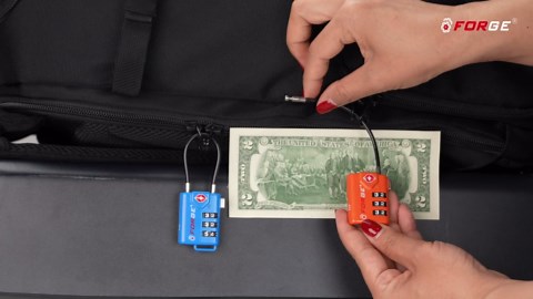 Forge TSA Approved Cable Luggage Locks, Re-settable Combination with Alloy Body(White 2 Locks)