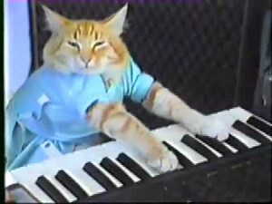 Charlie Schmidt's 'Keyboard Cat'! - ORIGINAL!