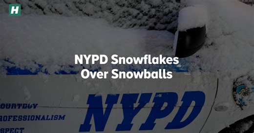 NYPD Snowflakes Over Snowballs