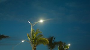 View of palm trees from a road at dusk - Free Stock Video
