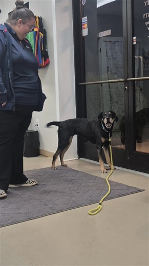 135K views · 2.5K reactions | Daisy Mae lost everything in a single...