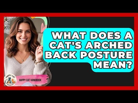 What Does A Cat's Arched Back Posture Mean? - Happy Cat Handbook
