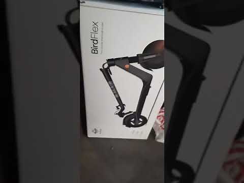 Bird Flex electric scooter