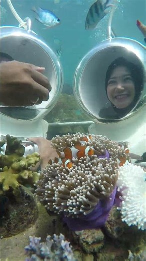 Seawalker pulau Pahawang #