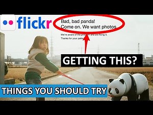 How To Fix Flickr "Bad, bad panda! Come on. We want photos".