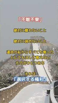 「不離不棄」いまも生きている于娟（ウー・ジエン）の言葉#于娟#今日私が生きる理由#実話#感動#人生#余命宣告#闘病記#小さな物語#生きる意味#希望#不離不棄#名言#心に響く言葉#人生を変える言葉