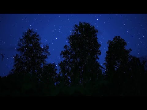 Owls & Crickets Under the Starry Night Sky | Ambient Nature Sounds For Sleep & Relaxation | 10 Hours