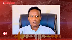 11K views · 221 reactions | WAREEYSI: Ciidamda Ethopia oo kuso qulqulaya Gobalka Gedo,isballaarin ay wadaan iyo howlgallo ay ka bilaabeen xadka Somaliya ay la wadaagaan sida uu ku warramayo Afhayeenka Gobalka Gedo Cali yuusf Cabdullaahi (Cali Jubba) | SMS Somali TV | Facebook