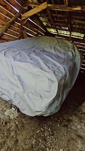 BLACK DEVIL (@basic__20)’s videos with Brate minli - Juice & 93 fu