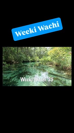 Cooney tradition of a family excursion at the end of the summer. This was a quick trip to the west coast to do a little SUP on the Weeki Wachi River. Melissa Cooney Makenna Cooney Mayson Cooney #family #familytime #summervibes #standuppaddleboard #weekiwacheeriver | Cleve Cooney