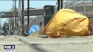 Today is World Homeless Day, a time when the world is called to reflect and raise awareness — but America is called to act. Thank you to FOX 2 Detroit and Lee Thomas TV for this interview on “The Noon" where our CEO Dr. Chad Audi discusses homelessness statistics in Detroit and across the world. He also touches on how the face of homelessness is changing. #WorldHomelessDay #DRMM #EndHomelessness | The Detroit Rescue Mission Ministries