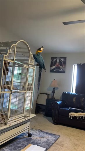 Cindy SHEMBERGER (@cindyshemberger)’s videos with original sound - Cindy SHEMBERGER