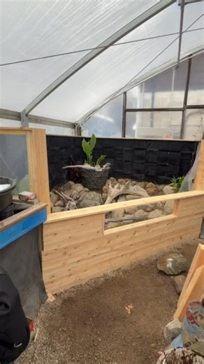 Progress in the greenhouse 🌱🐢 Our turtle pond is coming to life with new walls, a plexiglass viewing window and some greenery. Just a few more finishing touches and it’ll be complete! #TurtlePond #PondBuild | Garden State Koi Pond & Waterfall Design Center