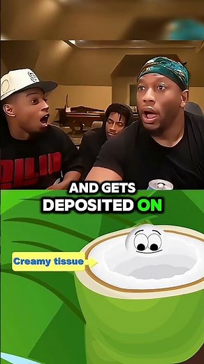 How Does Water Get Inside a Coconut? #fypシ #fypシ゚viral