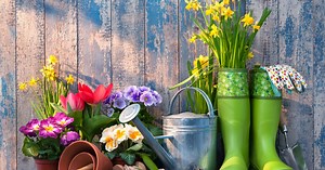 Our best tips and the dumbest mistakes to avoid when planning your spring garden